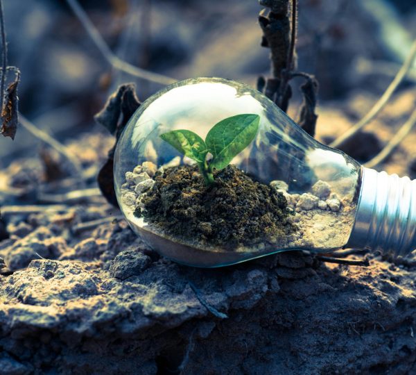 How GCCs Are Quietly Building a Greener Future?
